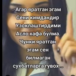 �������, �������, 41 ���