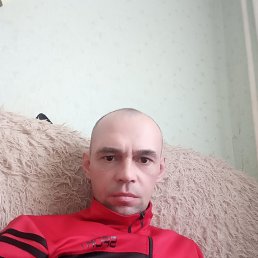 , 40, 
