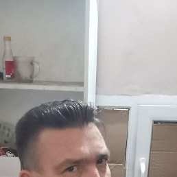 ����, ������, 43 ����