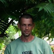 , 33 , 