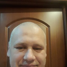 ����� �����, 41 ���, �������