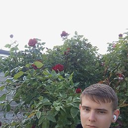 , 17, 
