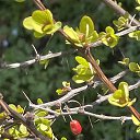 ���� �����, �����-��������� - ��������� 27 ������ 2025 � ������ ������25�