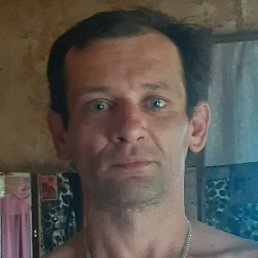 ������, ������, 48 ���