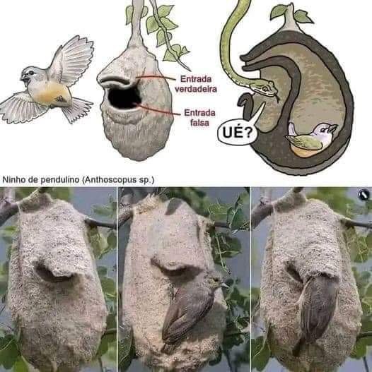  .       ,   .