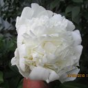 ���� ������, ������ - ��������� 7 ������� 2026