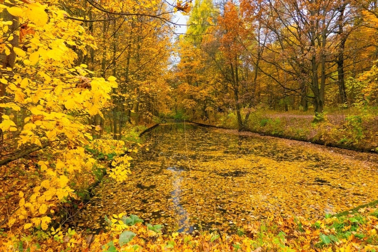 ����� ������ ����� �������������� ���������.����: ��������� ������ - 2