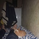 ���� �����, ����, 42 ���� - ��������� 24 ������� 2024 � ������ ���� ����������