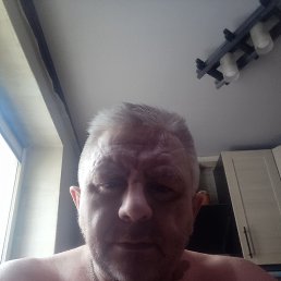  , 51, 