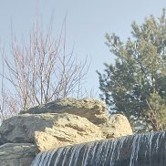 �������, 46 ���, ���������