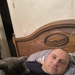 , 40, 
