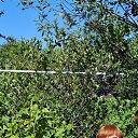 ���� �����, ����, 62 ���� - ��������� 1 �������� 2025 � ������ ���� ����������