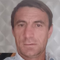 , , 44 