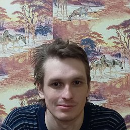 �����, 31 ���, �����������