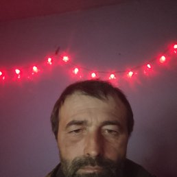 ������� ����, 42 ����, ���������