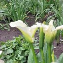 ���� ������, ������ - ��������� 15 ������� 2024 � ������ ���� ����������