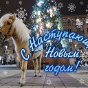 ���� ����, ���� - ��������� 31 ������� 2025 � ������ ������ ��������