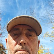 , 55 , 