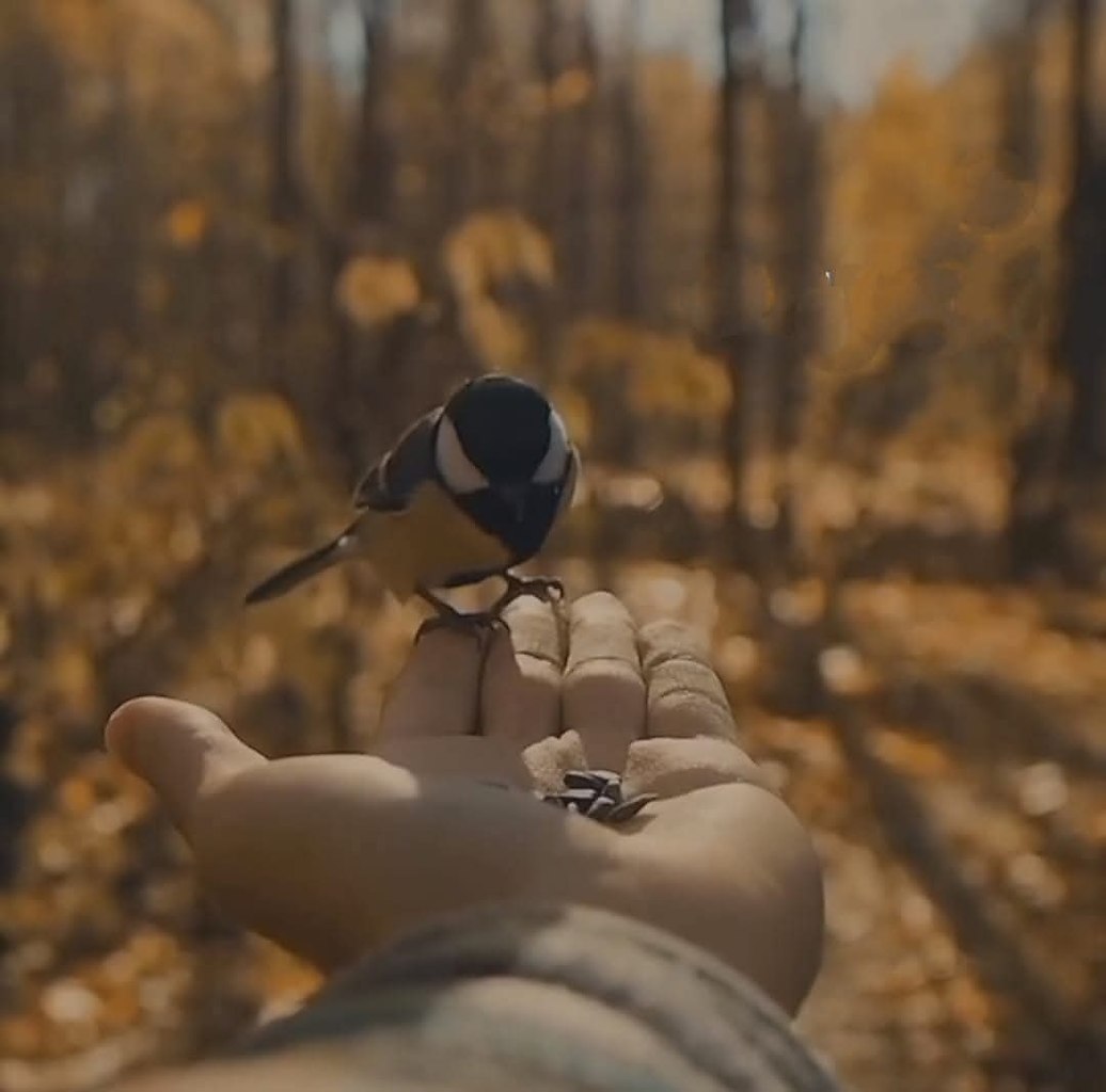 :) � �����-�� ������ ���� ����� ����� �������� ��. �� ��� �� ������ �������. ��� ������ ��������, ...