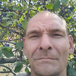 ������ ��������, ������������, 44 ����