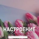 ���� �������, ������ �������� - ��������� 1 ����� 2026 � ������ ������ ��������