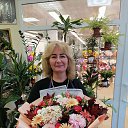 ���� �����, �����-���������, 53 ���� - ��������� 13 ���� 2025 � ������ ���� ����������