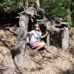 �����, �����, 45 ���