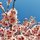 ���� ����, ���������� - ��������� 19 ������ 2026 � ������ ������ ��������
