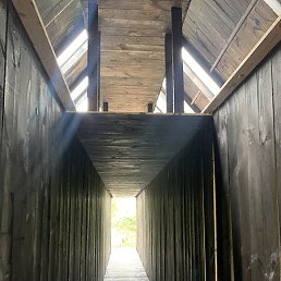 �����, ������