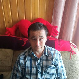 , 36, 