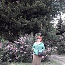 ���� Araksia, �������, 60 ��� - ��������� 7 ���� 2025 � ������ ���� ����������