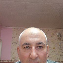 , 51 , 