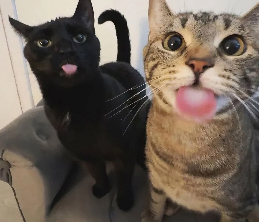 ��, ��� �� ��! - 3