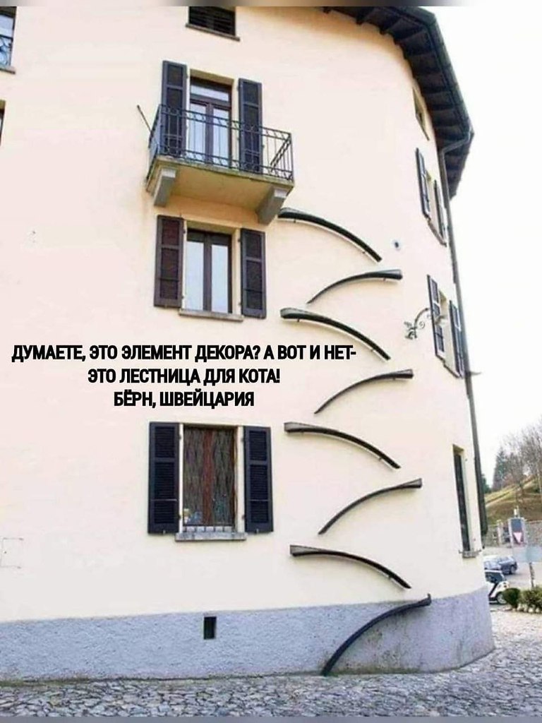   - 12  2024  15:31