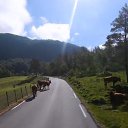 ���� ������, ��������, 46 ��� - ��������� 3 ������ 2025 � ������ ���� ����������