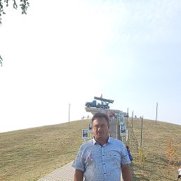 , 55, 
