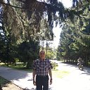 ���� ������, �����������, 66 ��� - ��������� 1 ������� 2024