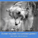 ���� ��������, ��������, 54 ���� - ��������� 10 ������ 2024 � ������ ���� ����������