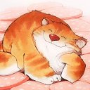 ���� �..., �����������, 51 ��� - ��������� 14 ������ 2023 � ������ ���� ����������