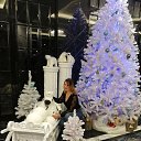 ���� ����, ��������, 38 ��� - ��������� 24 ��� 2025 � ������ ���� ����������