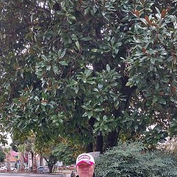 �������, ����, 47 ���