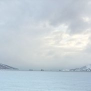 �����, 46 ���, ���������