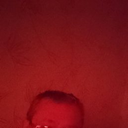 ������, �����, 55 ���