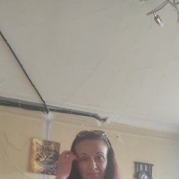 ���� �����, ������, 49 ��� - ��������� 13 ���� 2026