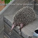 ���� ����, �������, 39 ��� - ��������� 20 �������� 2025 � ������ ������ ��������