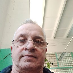 �����, 61 ���, ����������