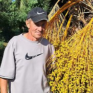 �������, 52 ����, �����