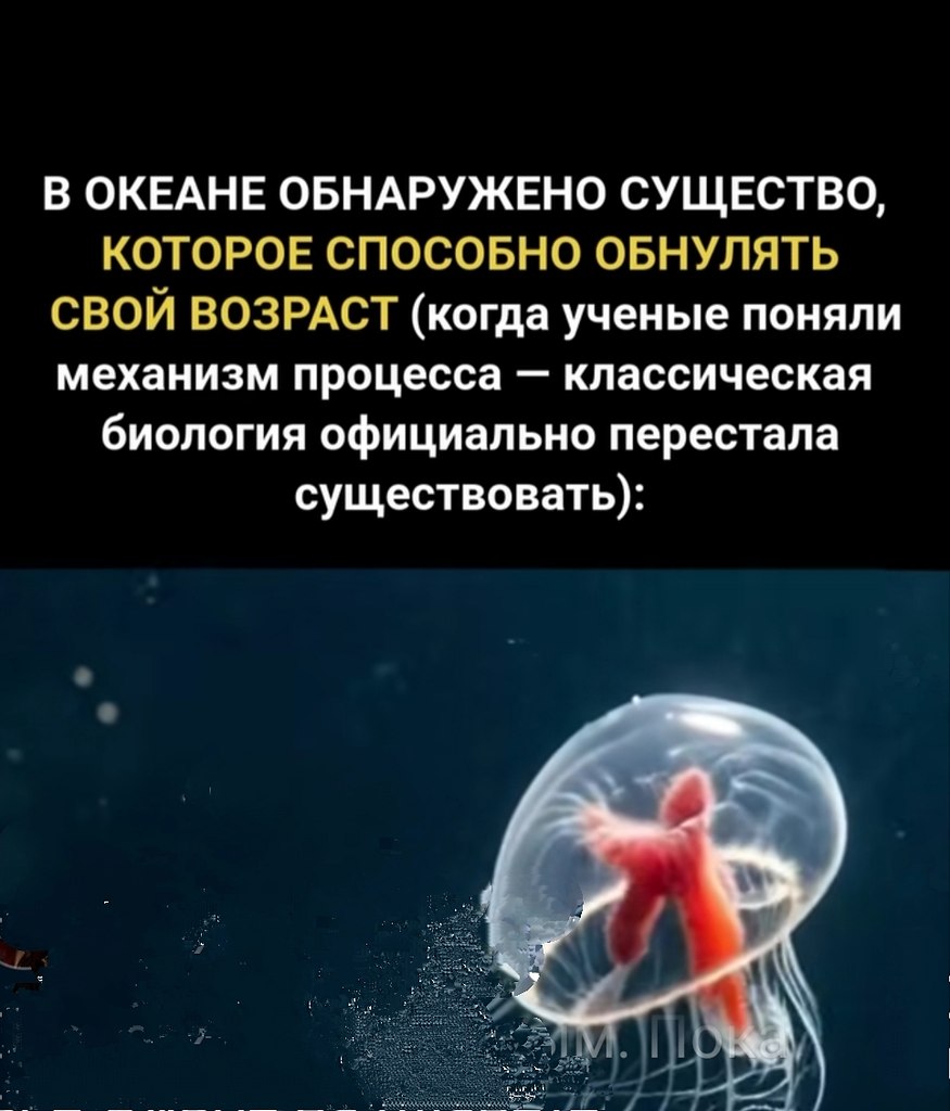������.������!� ����� ������� ������ ���� ��������� ��������, �������� ���� ������������� ...