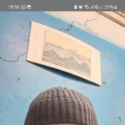 , 49, 