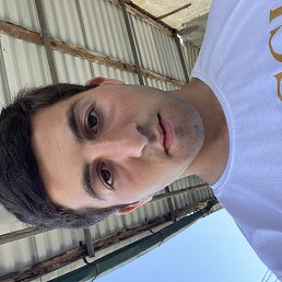 , 21, 